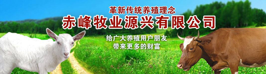 上海松夏減震器有限公司