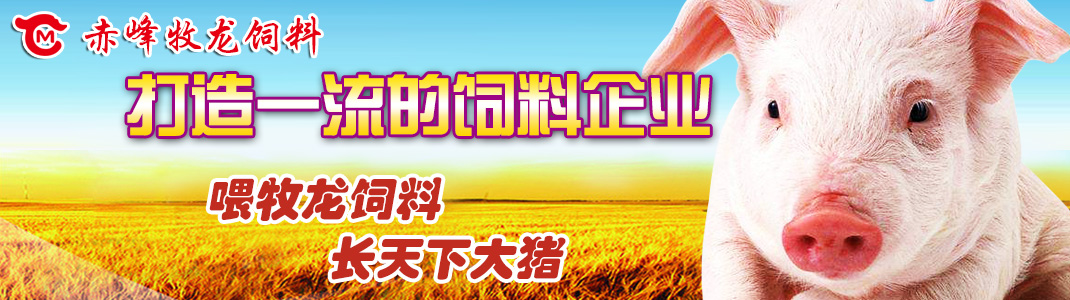 上海松夏減震器有限公司